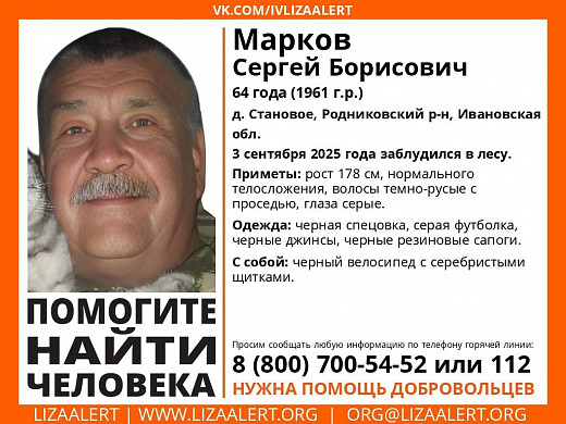 В Ивановской области разыскивают заблудившихся 3 сентября в лесу пенсионеров